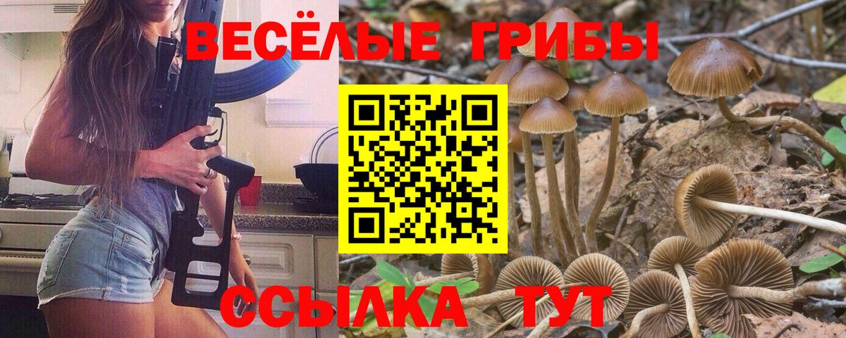 Псилоцибиновые грибы GOLDEN TEACHER Десногорск