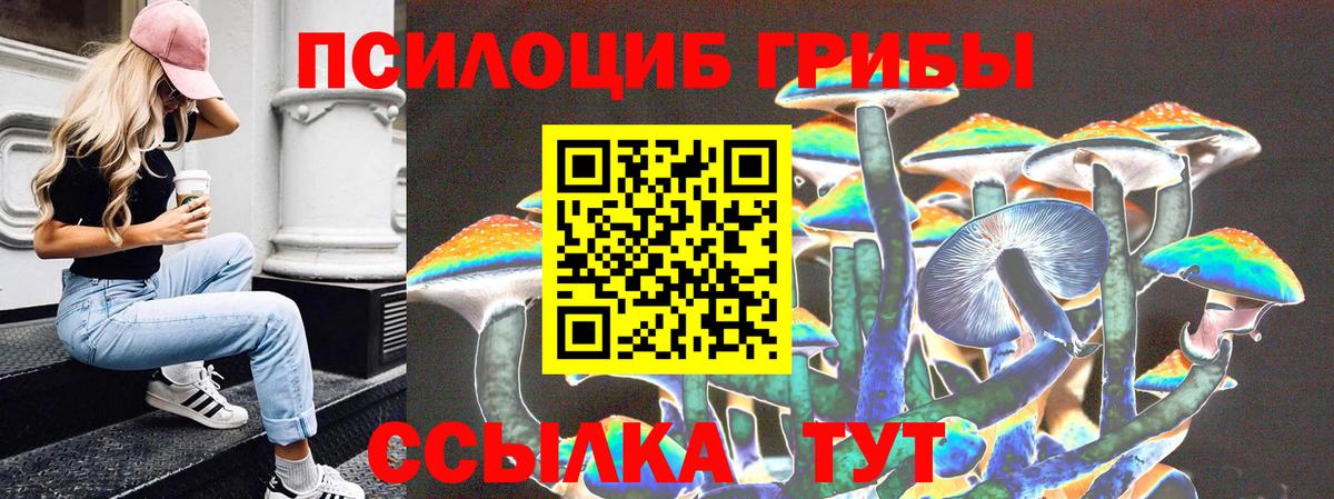 Псилоцибиновые грибы Psilocybe  Вход с VPN  Десногорск  Галлюциногенные грибы мухоморы 